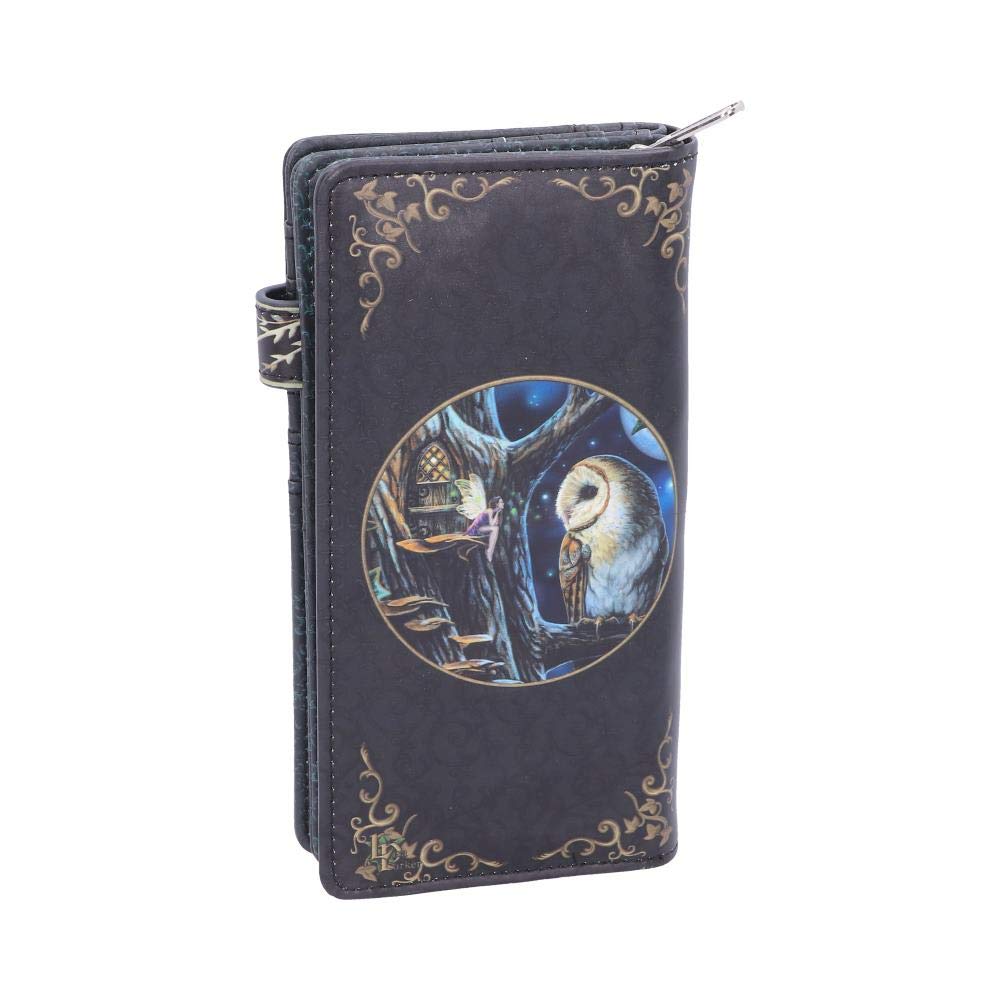 Lisa Parker Fairy and Owl Purse Tales Embossed LP 18.5cm