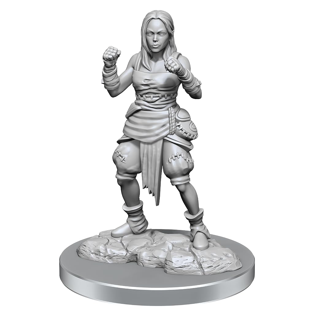 Half-Elf Monk Female: Pathfinder Deep Cuts Unpainted Miniatures (W21) 1