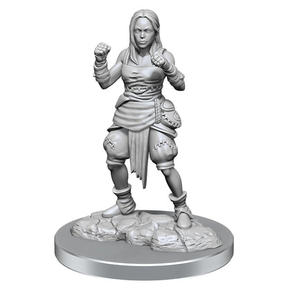 Half-Elf Monk Female: Pathfinder Deep Cuts Unpainted Miniatures (W21) 1