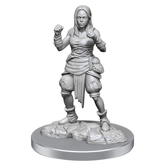 Half-Elf Monk Female: Pathfinder Deep Cuts Unpainted Miniatures (W21) 1