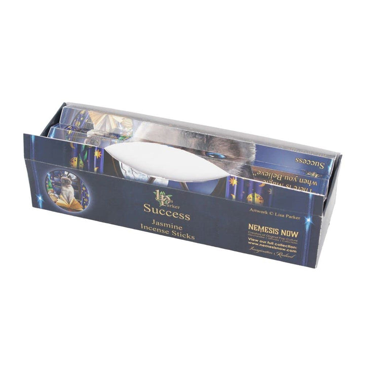 Lisa Parker Jasmine Scented Success Incense Sticks LP