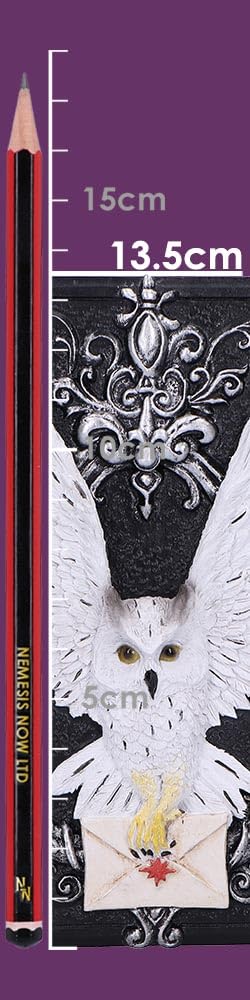 Owl Messenger Trinket Box 14cm