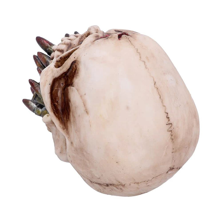 Bite the Bullet Skull Ornament