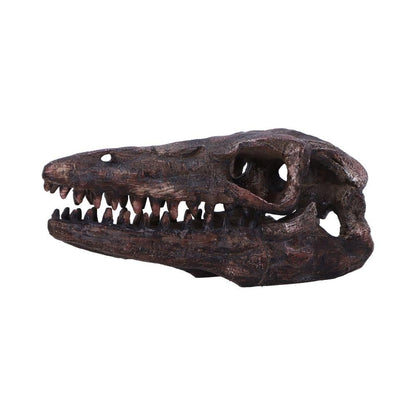 Archaeopteryx Skull Decorative Resin Replica 18cm 3