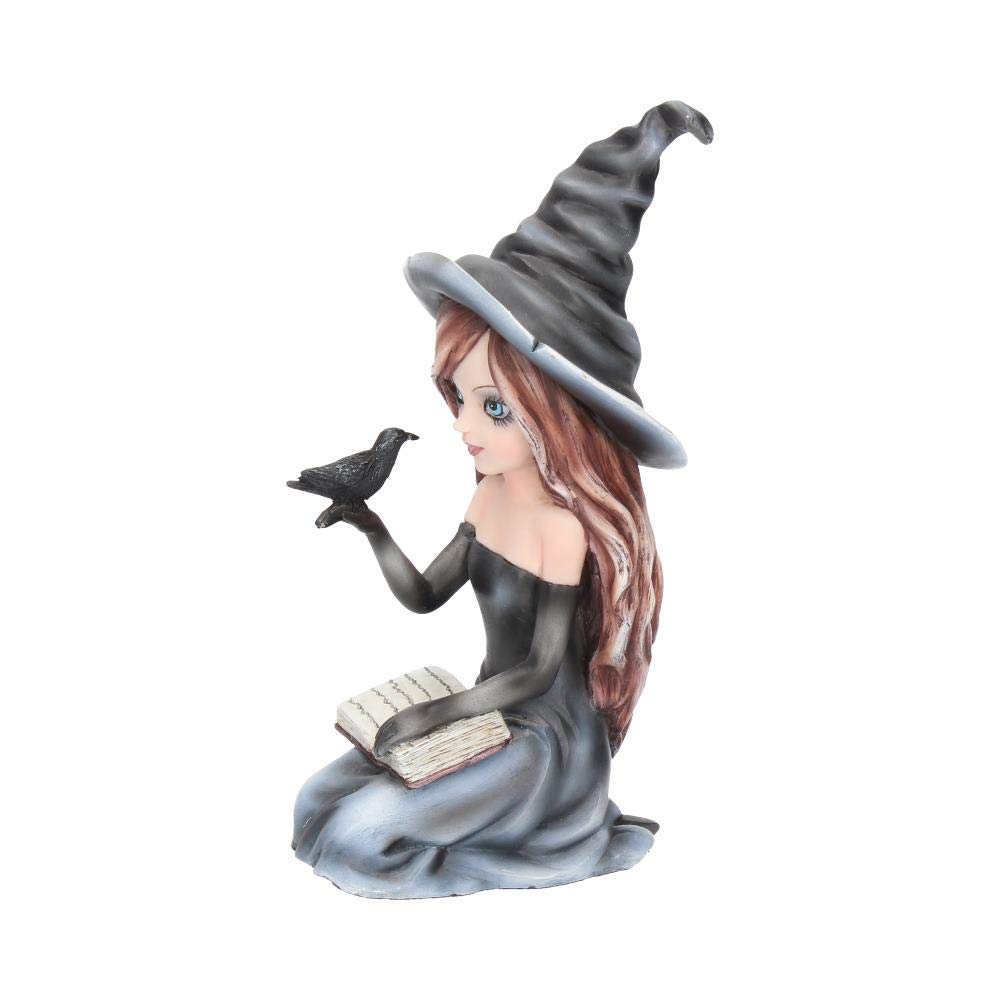 Regan Witch Her Raven Figurine 15cm