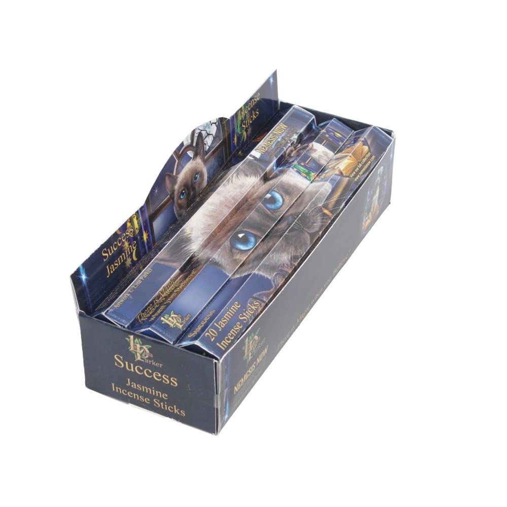 Lisa Parker Jasmine Scented Success Incense Sticks LP