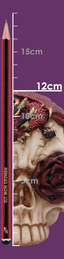 Rose Flame Decorative Skull With Sleeping Dragon 14.5cm 8