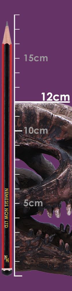 Dilophosaurus Skull Resin Replica 16cm 8