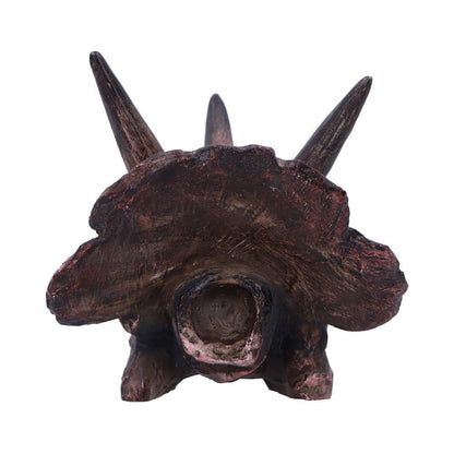 Triceratops Skull Resin Replica 14.5cm 4