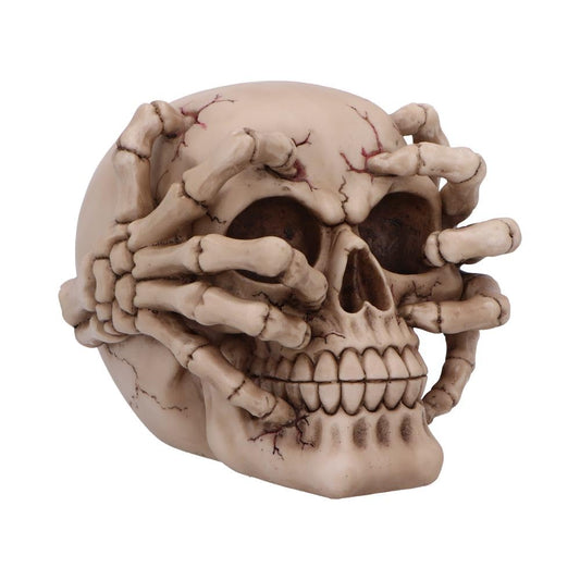 Cracked Decorative Resin Skull 15cm 1