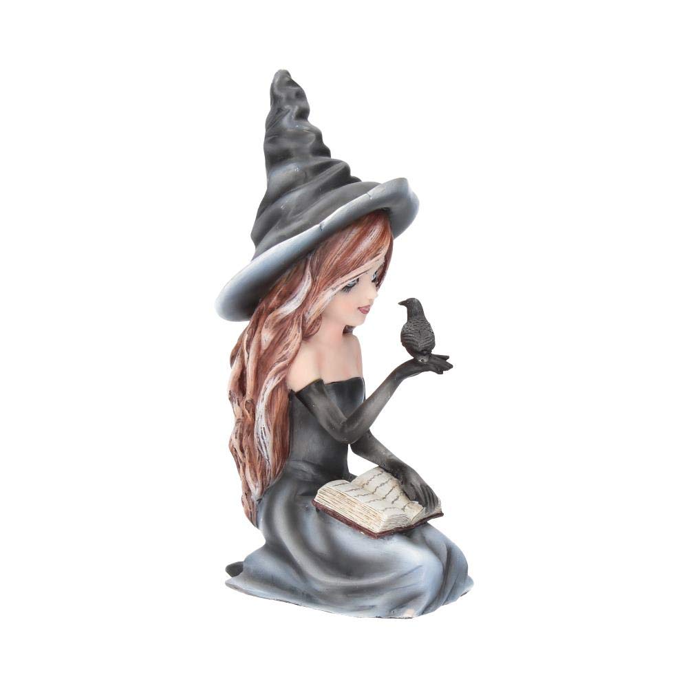 Regan Witch Her Raven Figurine 15cm