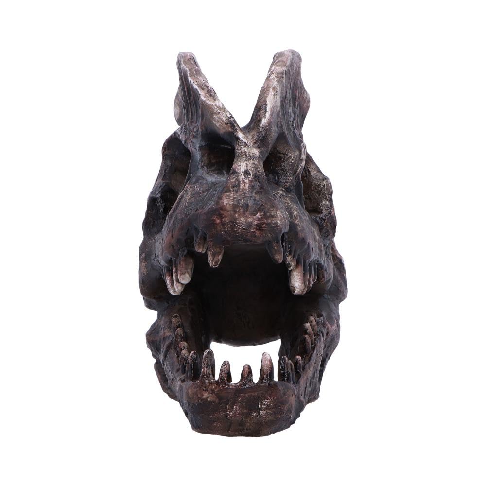 Dilophosaurus Skull Resin Replica 16cm 2