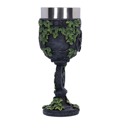 Aged Wiccan Pentagram Goblet 19.5cm 4