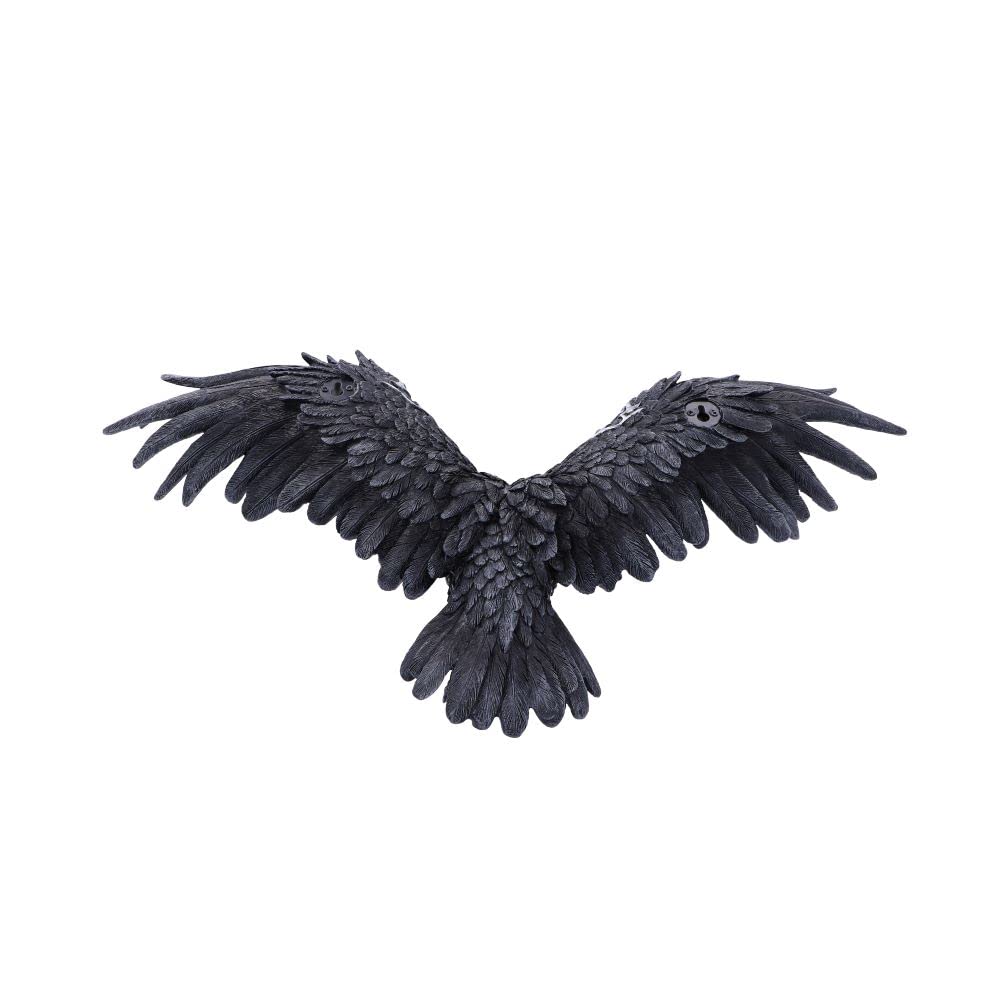 Dark Feather Owl Wall Plaque 55cm