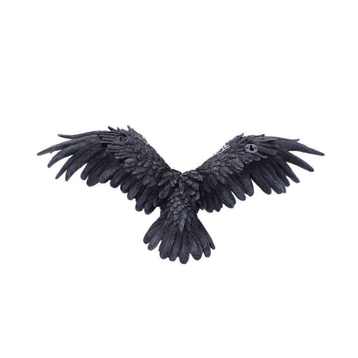 Dark Feather Owl Wall Plaque 55cm