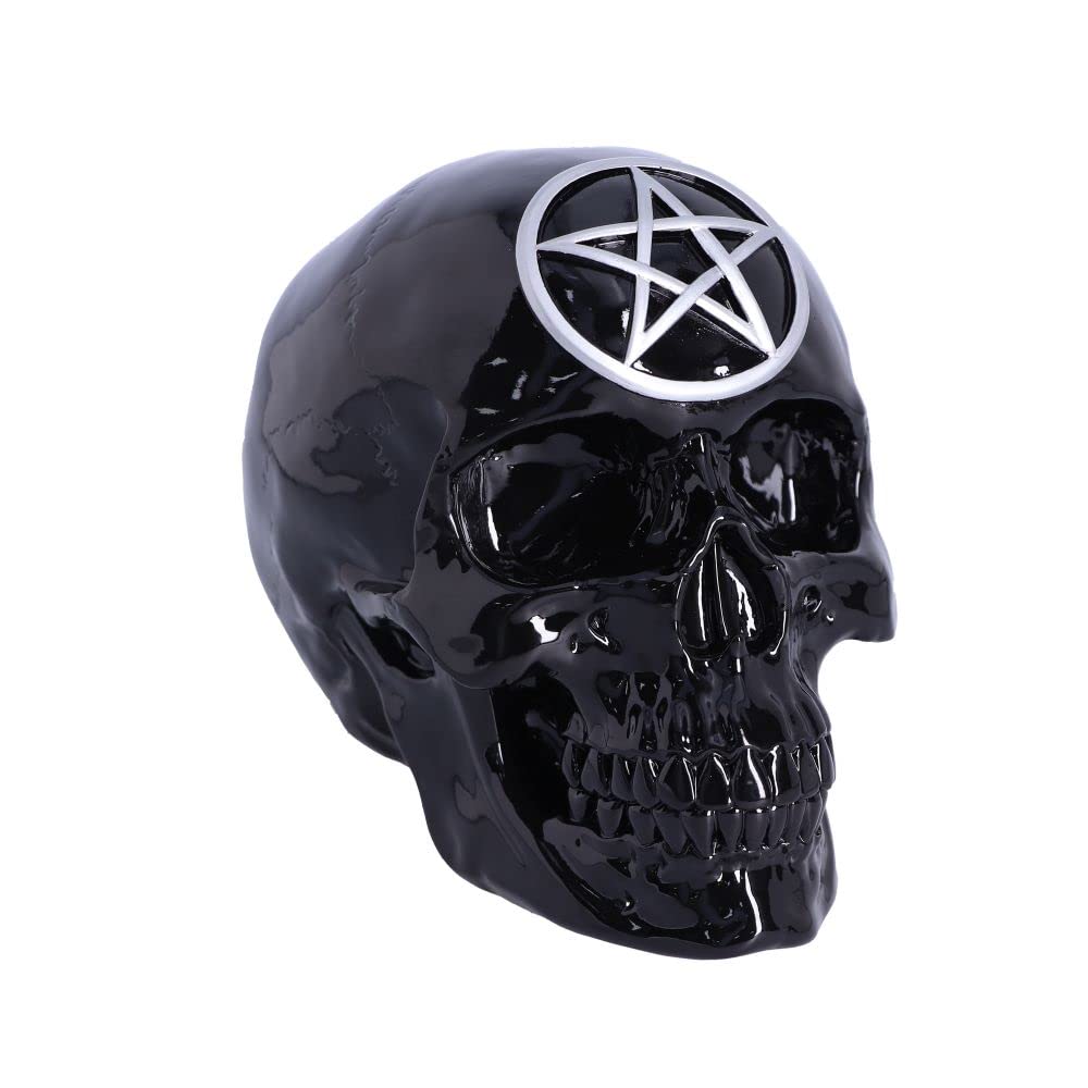 Black Magic Skull 19.5cm 2