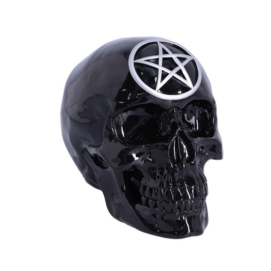 Black Magic Skull 19.5cm 2