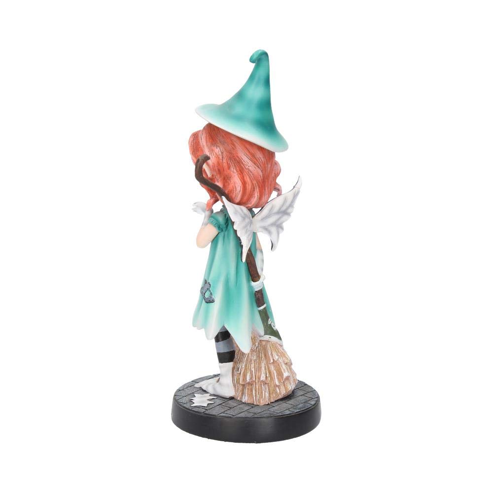Ill Put A Spell On You Fairy With Her Broomstick 19.5cm