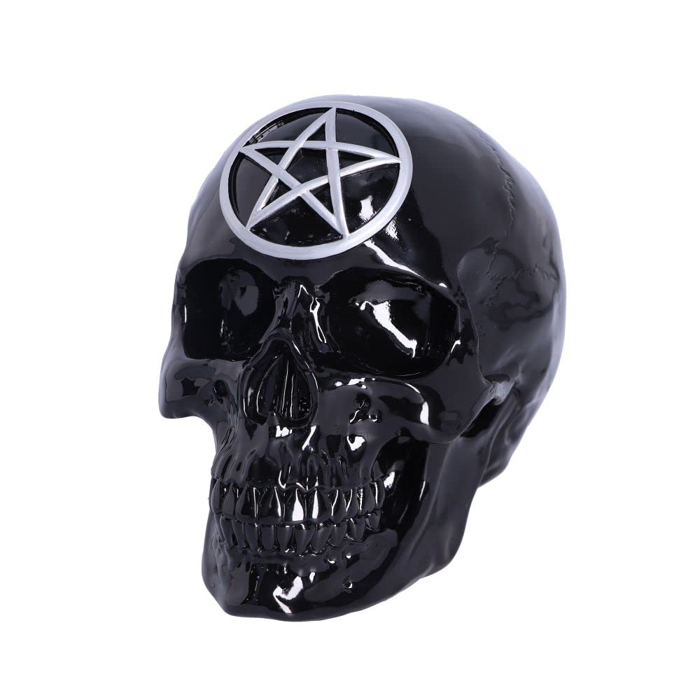 Black Magic Skull 19.5cm 3