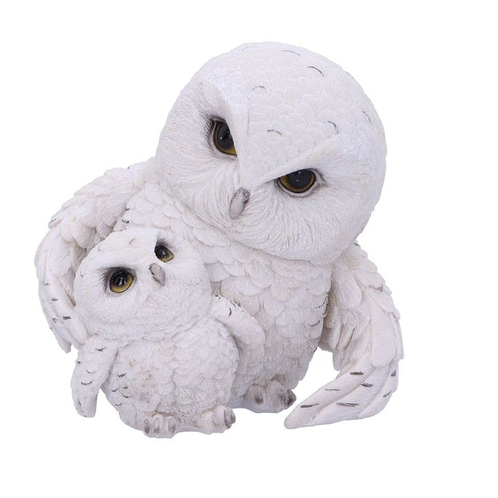 Feathered Guide Owl Figurine 13.5cm