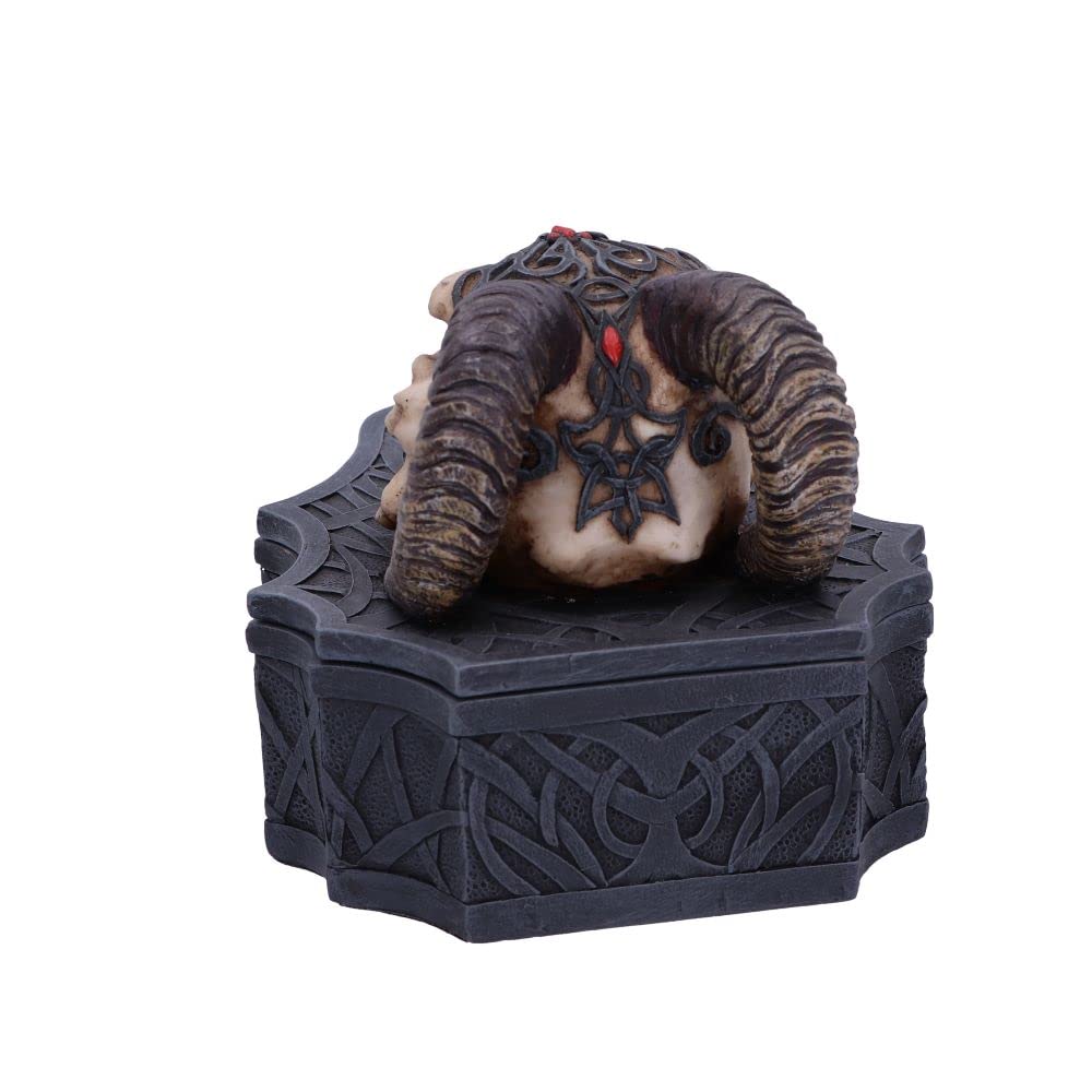 Dragon Skull Box Monte Moore 17.7cm