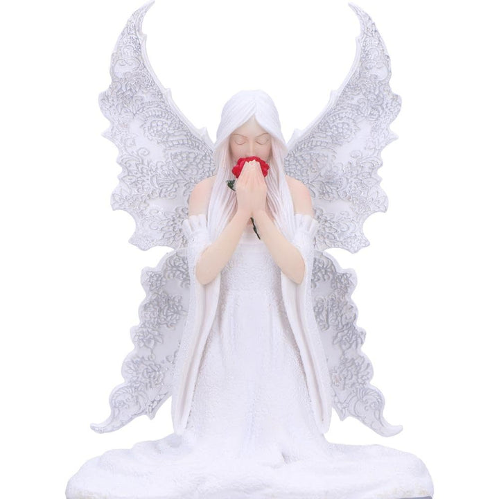 Anne Stokes Only Love Remains Fairy Figurine Storage Box 20.3cm