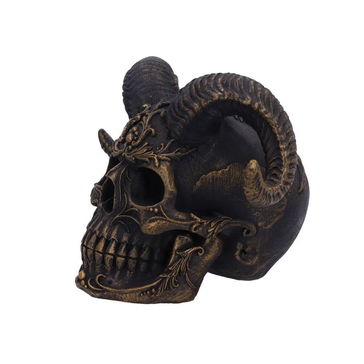 Diabolus Horned Skull 18cm