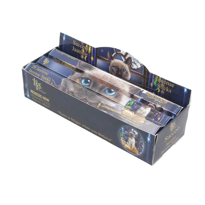 Lisa Parker Jasmine Scented Success Incense Sticks LP