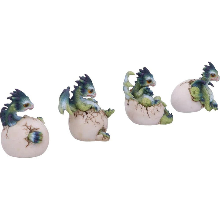 Set of Four Hatchlings Emergence Dragonling Hatching from Egg Figurine 8cm