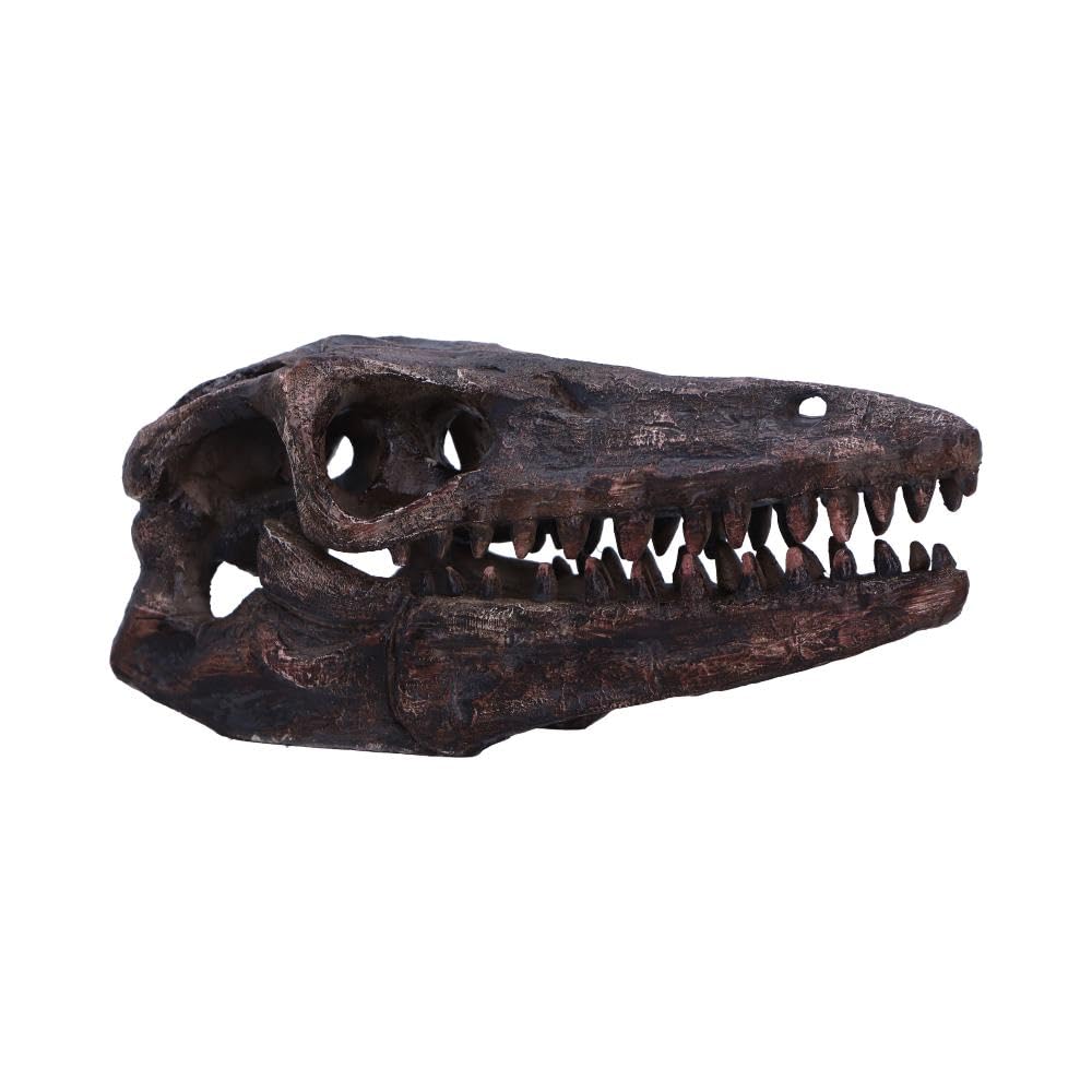 Archaeopteryx Skull Decorative Resin Replica 18cm 1