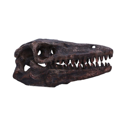 Archaeopteryx Skull Decorative Resin Replica 18cm 1