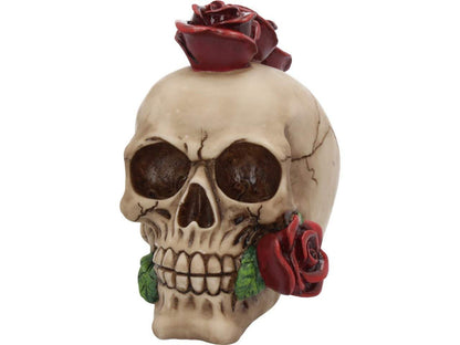 Rosehawk Skull 16cm 3