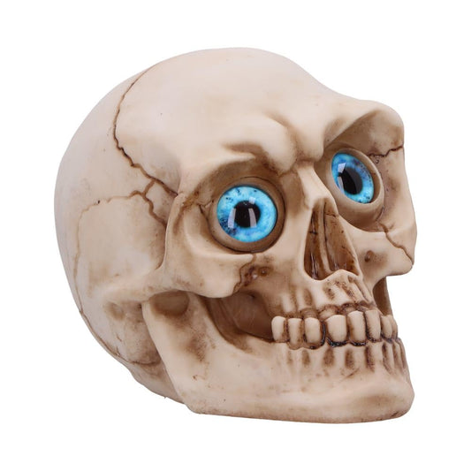 Eyes Wide Open Blue Decorative Resin Skull 12cm 1