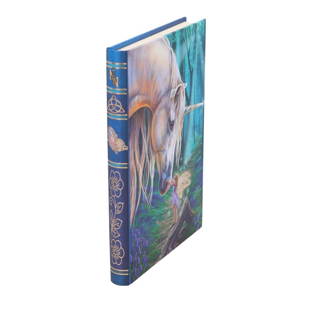 Lisa Parker Fairy Whispers Journal 17cm 6