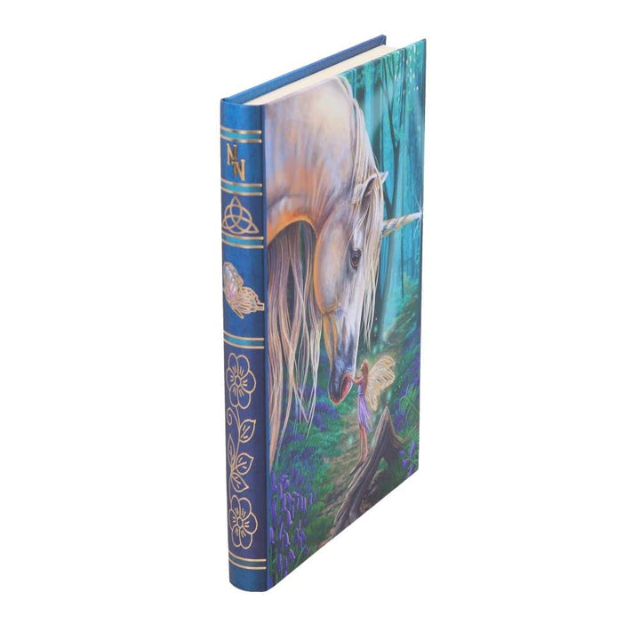 Lisa Parker Fairy Whispers Journal 17cm