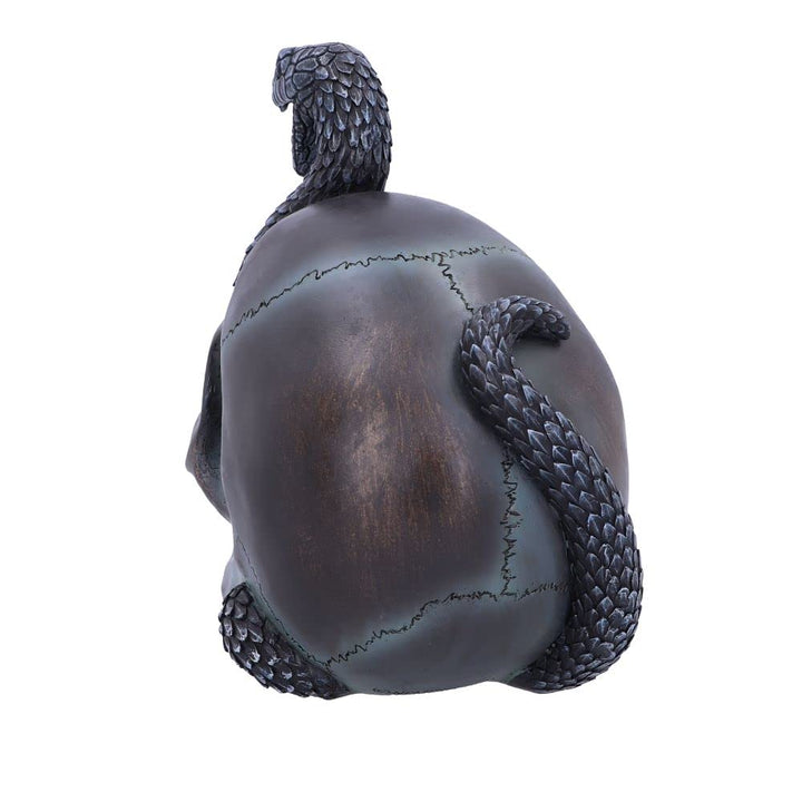 Serpentine Fate Gothic Snake Skull 19cm