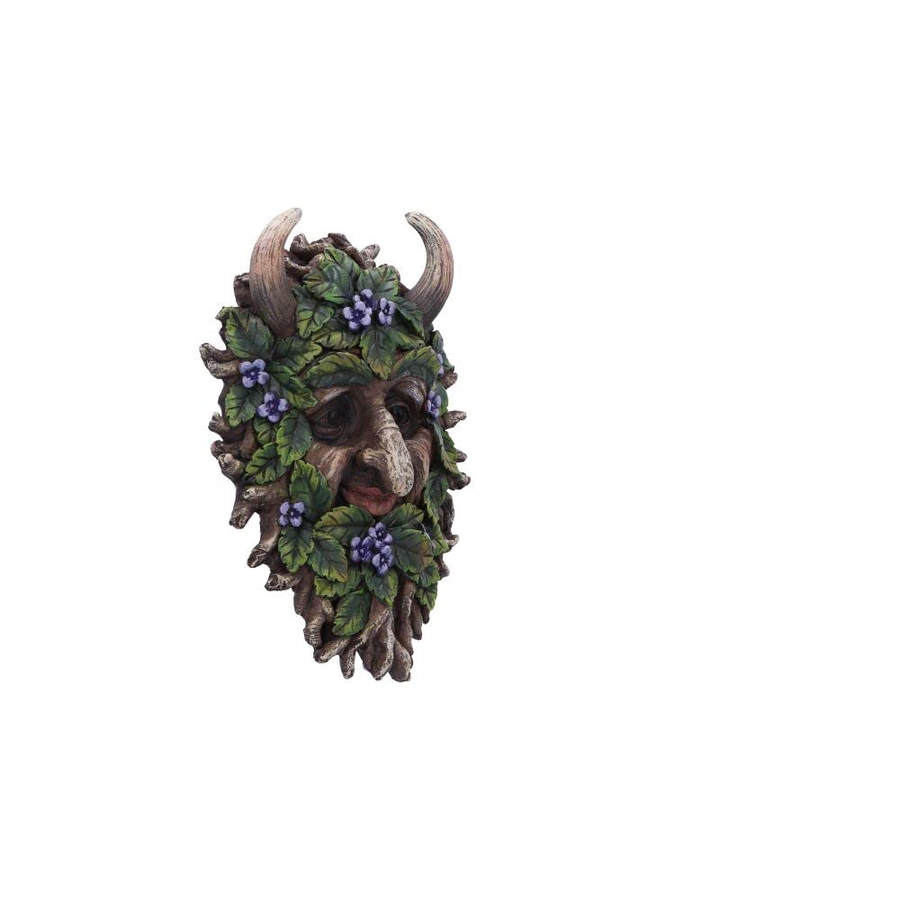 Alder Wall Mounted Tree Spirit 20.2cm 4