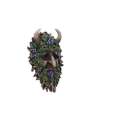 Alder Wall Mounted Tree Spirit 20.2cm 4
