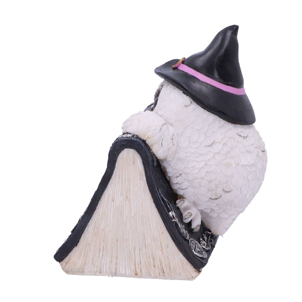 Owl with book Figurine 15cm Owls Spell