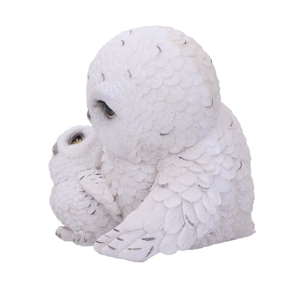 Feathered Guide Owl Figurine 13.5cm 3