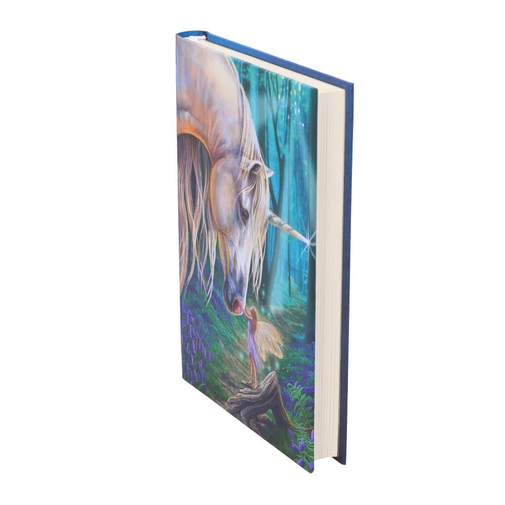 Lisa Parker Fairy Whispers Journal 17cm 3
