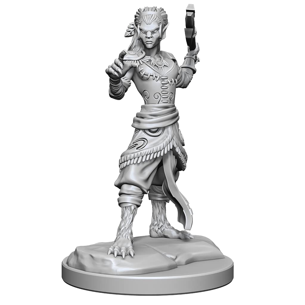 Shifter Fighter D and D Nolzurs Marvelous Unpainted Miniatures W20 Miniature Game by Wiz Kids 1