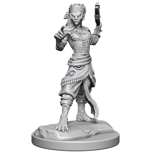 Shifter Fighter D and D Nolzurs Marvelous Unpainted Miniatures W20 Miniature Game by Wiz Kids 1