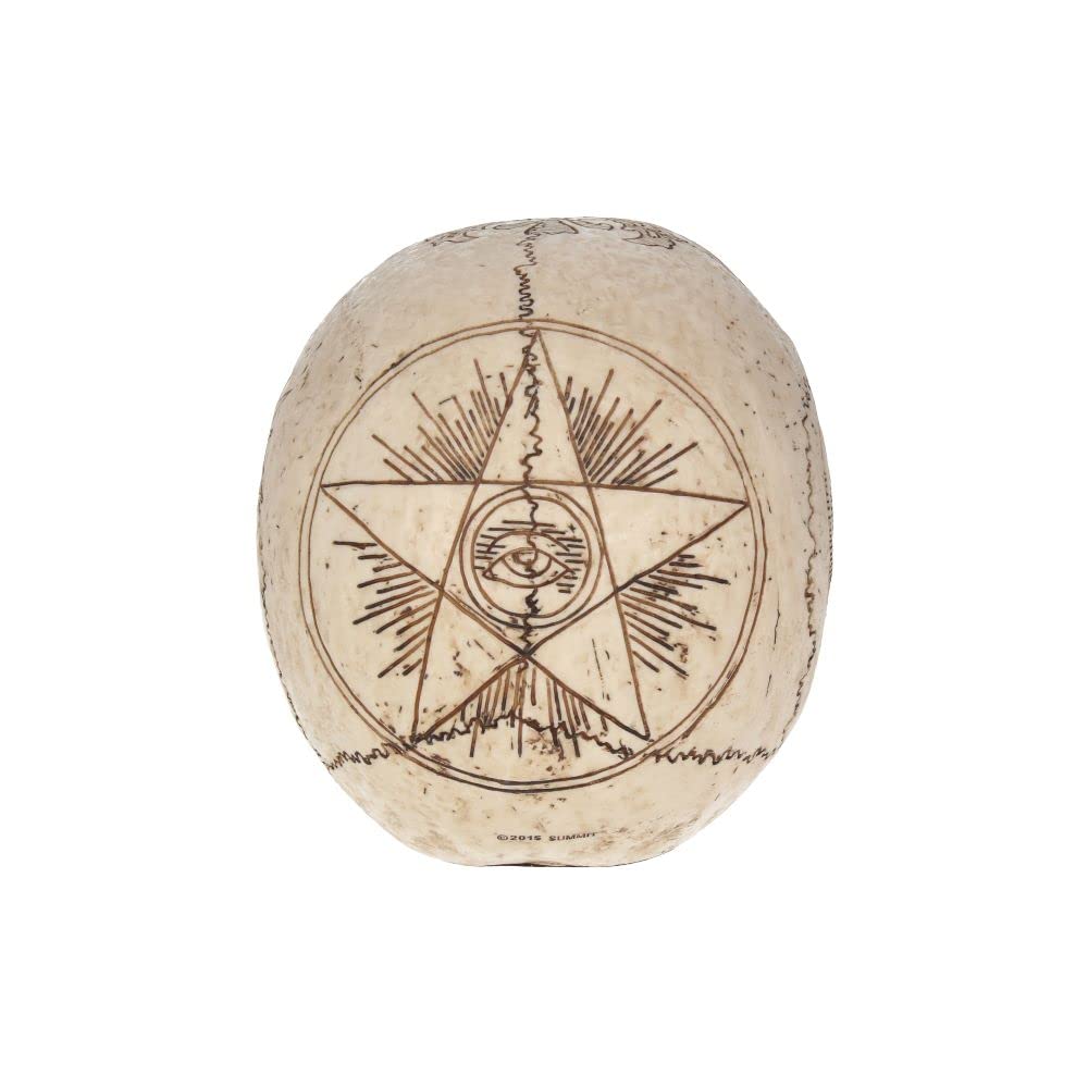 Voodoo Spirits Commune Skull 20cm 5