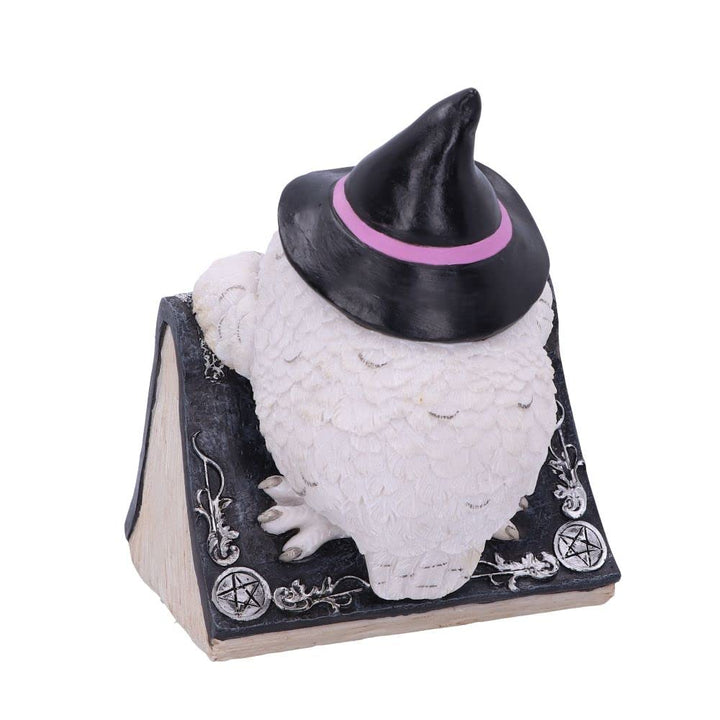 Owl with book Figurine 15cm Owls Spell