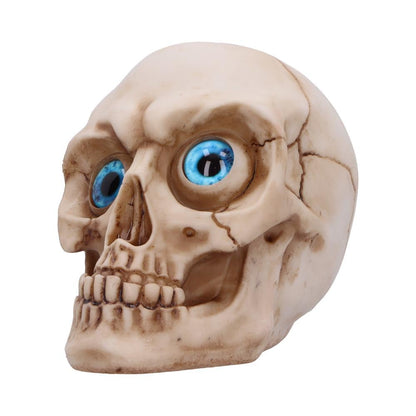 Eyes Wide Open Blue Decorative Resin Skull 12cm 3