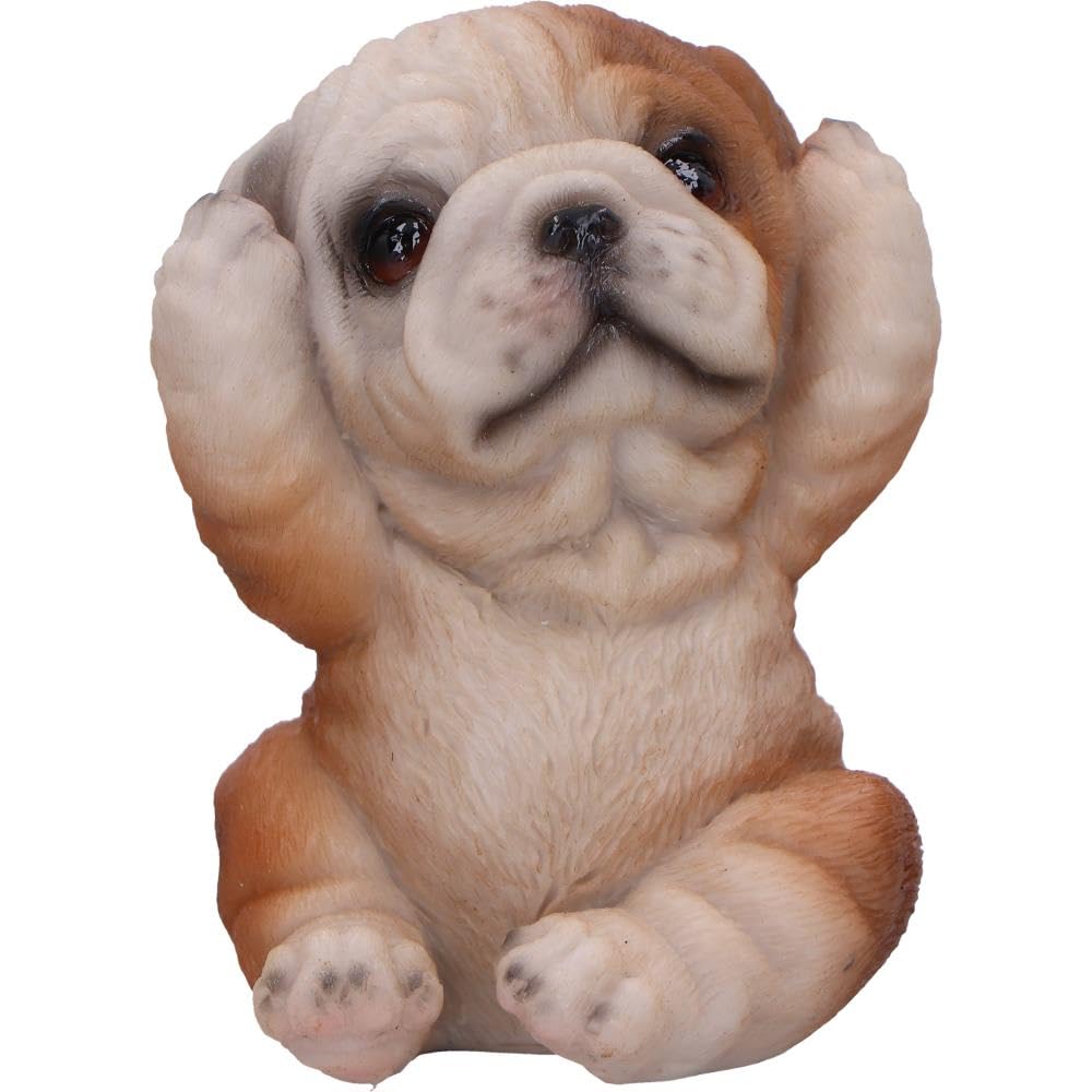 Three Wise Bulldogs Figurines Set of 3 7.5cm