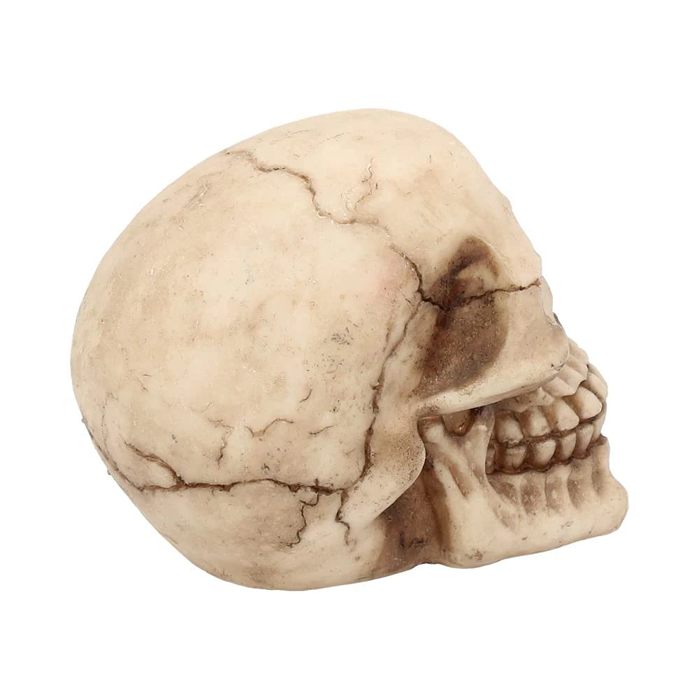 Joker Skull Ornament 12cm 7