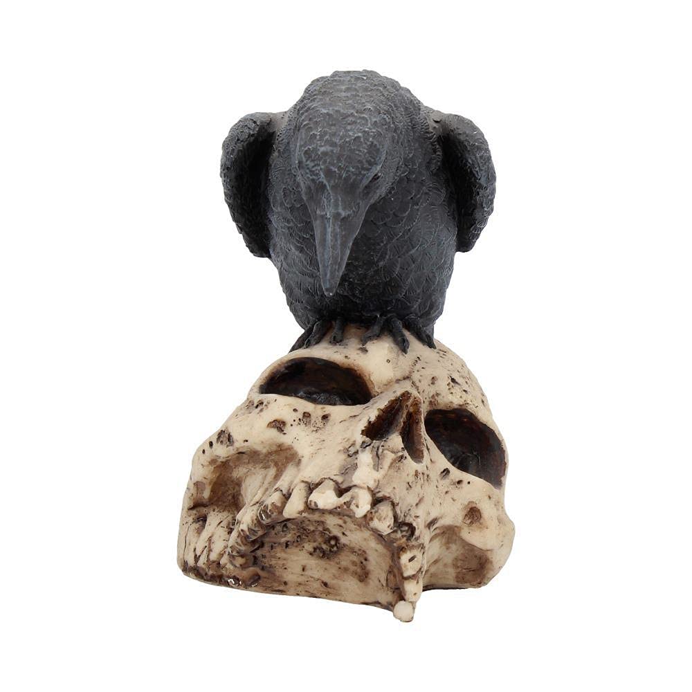 Raven Remains Figurine Crow Skull Gothic Ornament Ravens 13cm