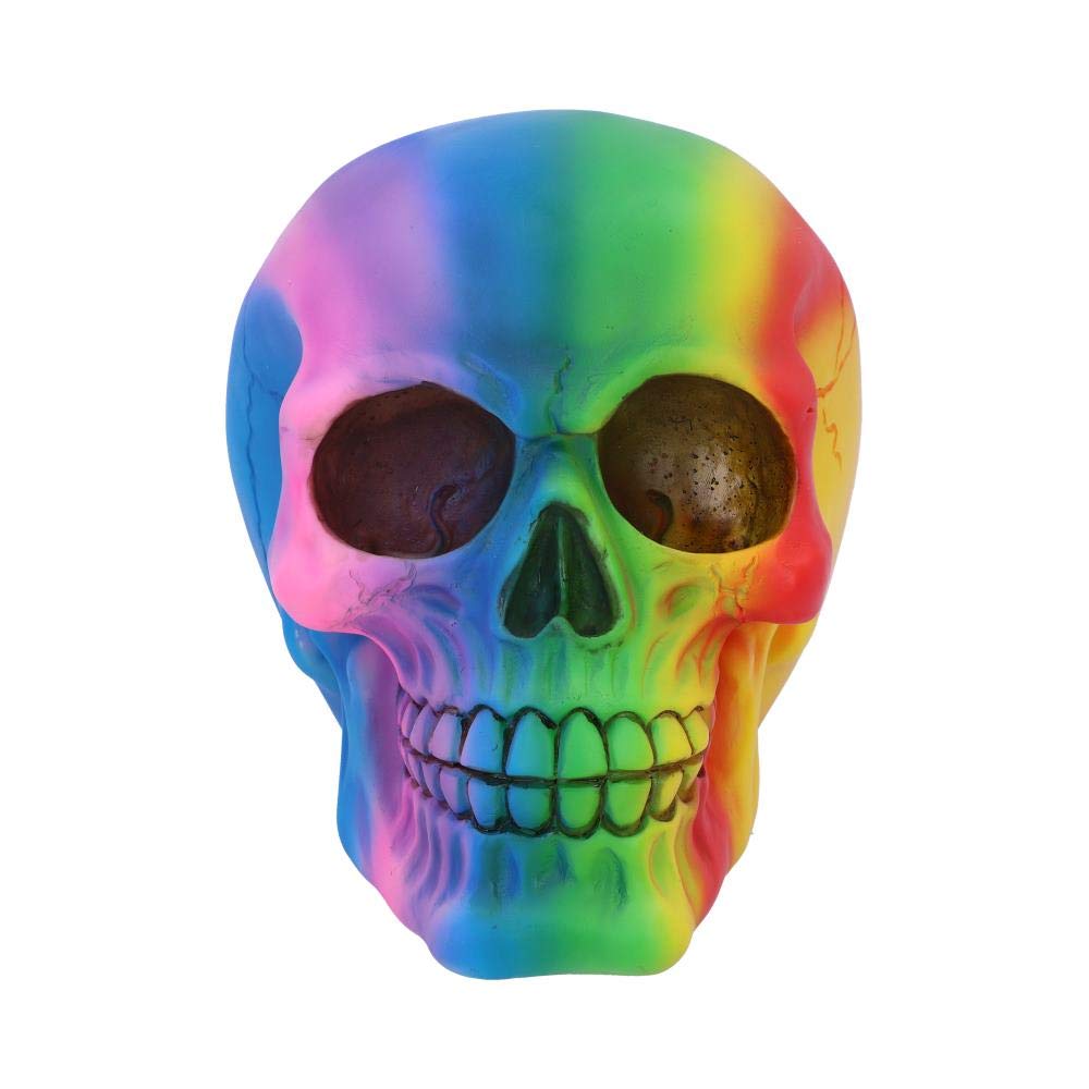 Rainbow Skull 15.5cm 2